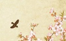 2022年属龙人的每月运势预测,详细解读,细致剖析!