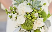 哪个星座的孩子具有最高智商或智力水平较为优秀?