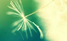 双子座的感情持续力有多强?揭秘双子座的致命弱点!