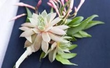 每个星座的女性,成为怎样的妻子?走近12星座太阳女神的婚姻秘密