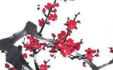 2022年,虎年男孩起名经验分享:以杨姓为基础的取名策略解析