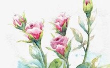 探寻独具特色的美妙奶茶店名称,以吸引更多消费者的注意力