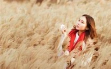 深夜梦境中的南瓜为何呈现翠绿色,寓意何在?