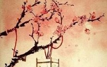 探究十二星座是如何用不同方式来保守别人秘密的方法与技巧