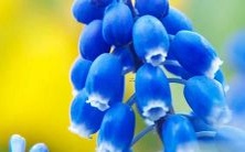 做梦买错东西被责备:解读潜意识和情感需求