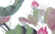 寻找2022年华丽而充满力量的虎年五月适合男孩的命名灵感!