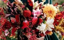 如何利用自身特质掌控命运?