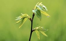 周末梦见自己喂养流浪猫,这个梦境象征着什么含义和象征性意义?