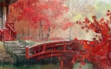 2022年虎年对于身为72年属鼠人的你,运势会有怎样的影响?