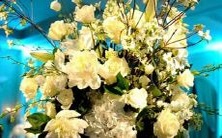 徐熙娣探讨星座学说:解码12星座的人格特质与人际关系影响