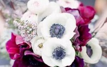 探究12星座花心情绪排行,分析星座花心指数特点!