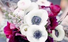 初相识时内向保守,熟稔后话语不断的星座人格特征