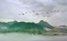 2022年属马的十二个月份运势详解:揭秘马儿们的整年好坏趋势