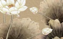 获取,揭秘2022年易经对事业运势的预测,提供免费测算祈福机会