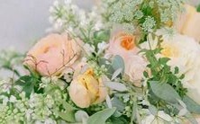 一个详细的指南:探究王者荣耀中各个角色的星座特征