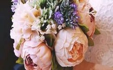 深入剖析上升巨蟹座性格特征及其在职业选择上的影响