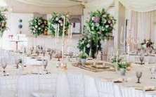 白头到老:走向千年的星座恋情