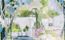 探究星座特征:揭秘十二星座无法容忍的最令人不适行为或事物