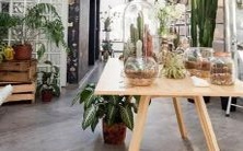 究竟哪些星座能享受最多福气?