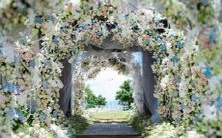 的表现方式及其潜在的心理和社交动机分析