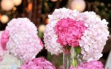 哪个星座的人最具有诗歌天赋?