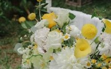 哪些星座倾向于向朋友倾诉,尤其当他们受到委屈时?