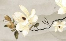 绝美甜美的台湾女孩名字,听上去让人心动不已!