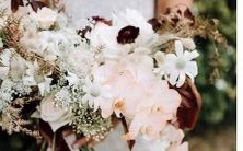 如何使用新浪星座在线服务进行详细的星盘查询?