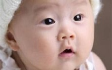 含义优美、声调和谐的汉字,以传递吉祥和美好祝愿