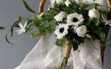 - 解读十二星座的含义及象征:探究星座对人生和命运的影响