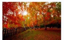 海中金:穷富命格的决定因素?探究海中金出生月份对命运的影响