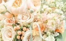 如何用悄悄话让射手座女生感到欣喜并感到高兴