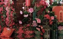 深入探讨:每月诞生于10号的女性个性剖析与性格特质研究