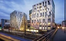 在梦中体验放烟花庆祝新年节日,但仍需注意忌宜之事项的提醒