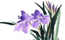 获取:涵盖各种流行文化元素、意义深远的2022年女孩起名大全,免费下载