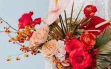 经验告诉我们哪几个星座往往会成为黄金剩斗士的候选人?