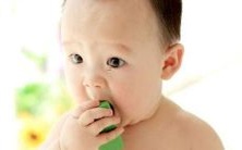 探寻所有以“虎”作姓氏的男孩名字,一个包含两个字的完整的大全集