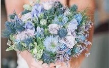 十二星座发红包金额排行榜,哪个星座发的红包最大额度?