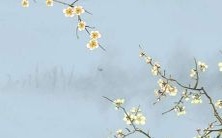 37岁的1985年出生属牛人将会在2022年面临一场劫难,其间将会遭遇小人所使坏的挑战