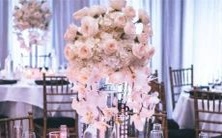 星座女士们一起来浪吧!牵着手即能被撩走的经验分享