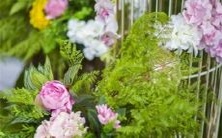 惊醒于梦境中!十二星座最害怕在梦中遭遇的场景!