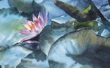 精选出众、声名远扬的足球队命名,萌翻全场