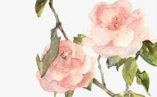 如何化解1963年属兔男在哪些年份会遇到较多的烂桃花?