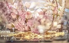 1125日,星座升高,迎接超凡变化!