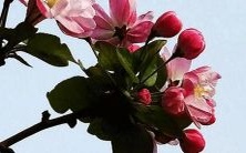 6月份出生的儿童最有可能是聪明、幸福、活力充沛的“虎宝宝”