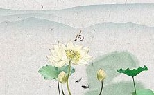 以金色字旁的元素命名的女孩,其名字属于华丽的虎之年象!