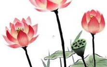 最高分名字属于姓董虎年出生的男孩