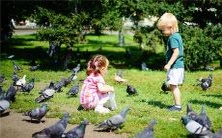 沉浸在梦境中:奇幻缤纷的世界,鸟儿翱翔舞蹈,鱼儿穿梭水中游弋