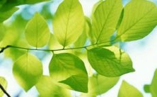 1月18日出生的人属于哪个星座?热爱摩羯座到疯狂的那个星座是什么?