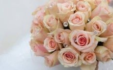 再忙碌的日程也要留出时间呵护自己魅力,忽略星座女子不可取!